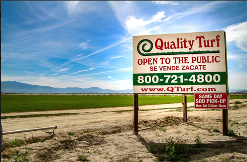 Quality Turf Sod Farm Fescue St Augustine San Jacinto, CA