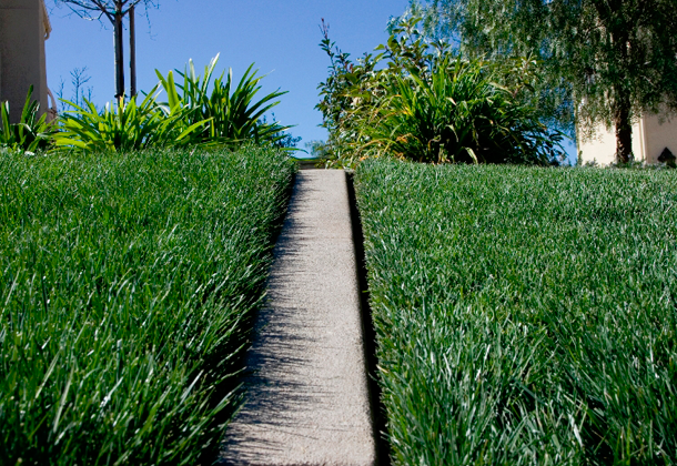 Residential Sod Grass In San Jacinto CA