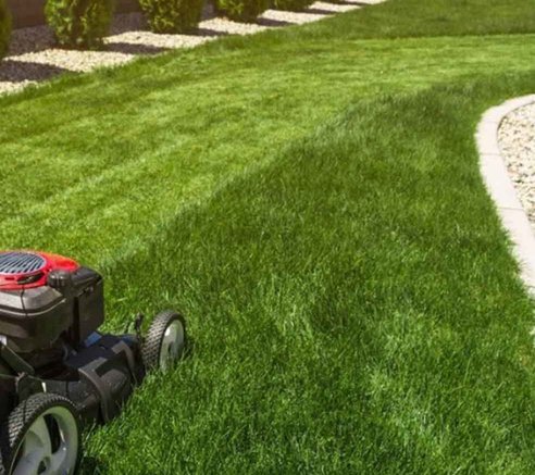 Lawn Maintenance old | Quality Turf Sod Farm