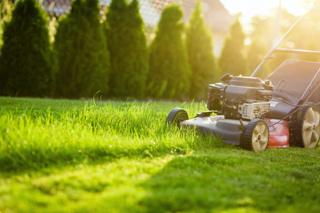 When Should you mow?