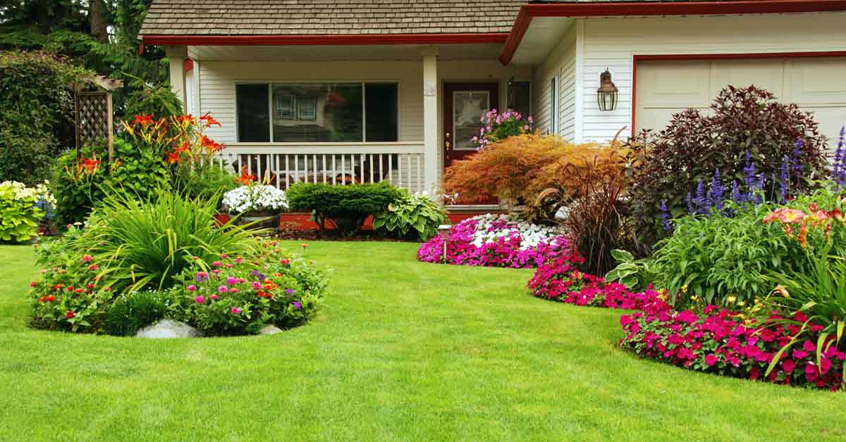 How to Test, and Adjust your Lawn’s pH Balance