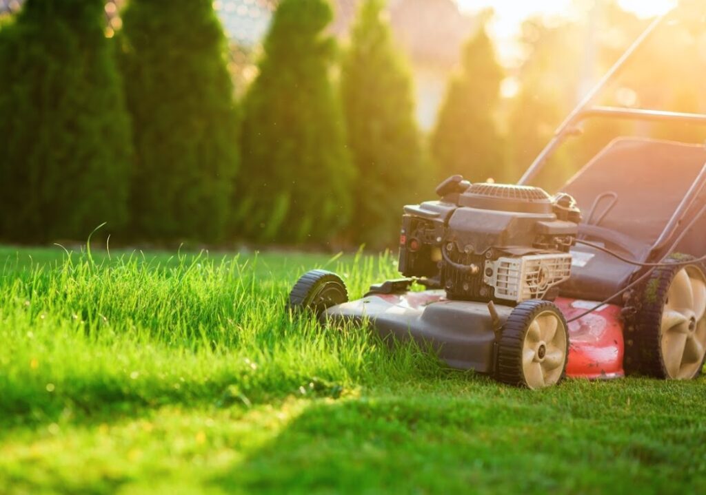 How to Test, and Adjust your Lawn’s pH Balance