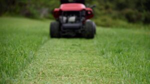 Close-up of a red lawnmower cutting a path through green grass, leaving a neatly trimmed strip behind.